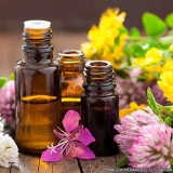 manipulação de medicamentos fitoterápicos Jardim Santa Mena